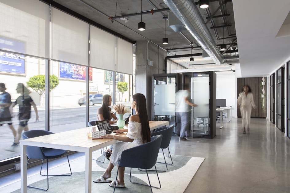 Log In BLANKSPACES Larchmont